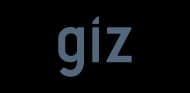GİZ